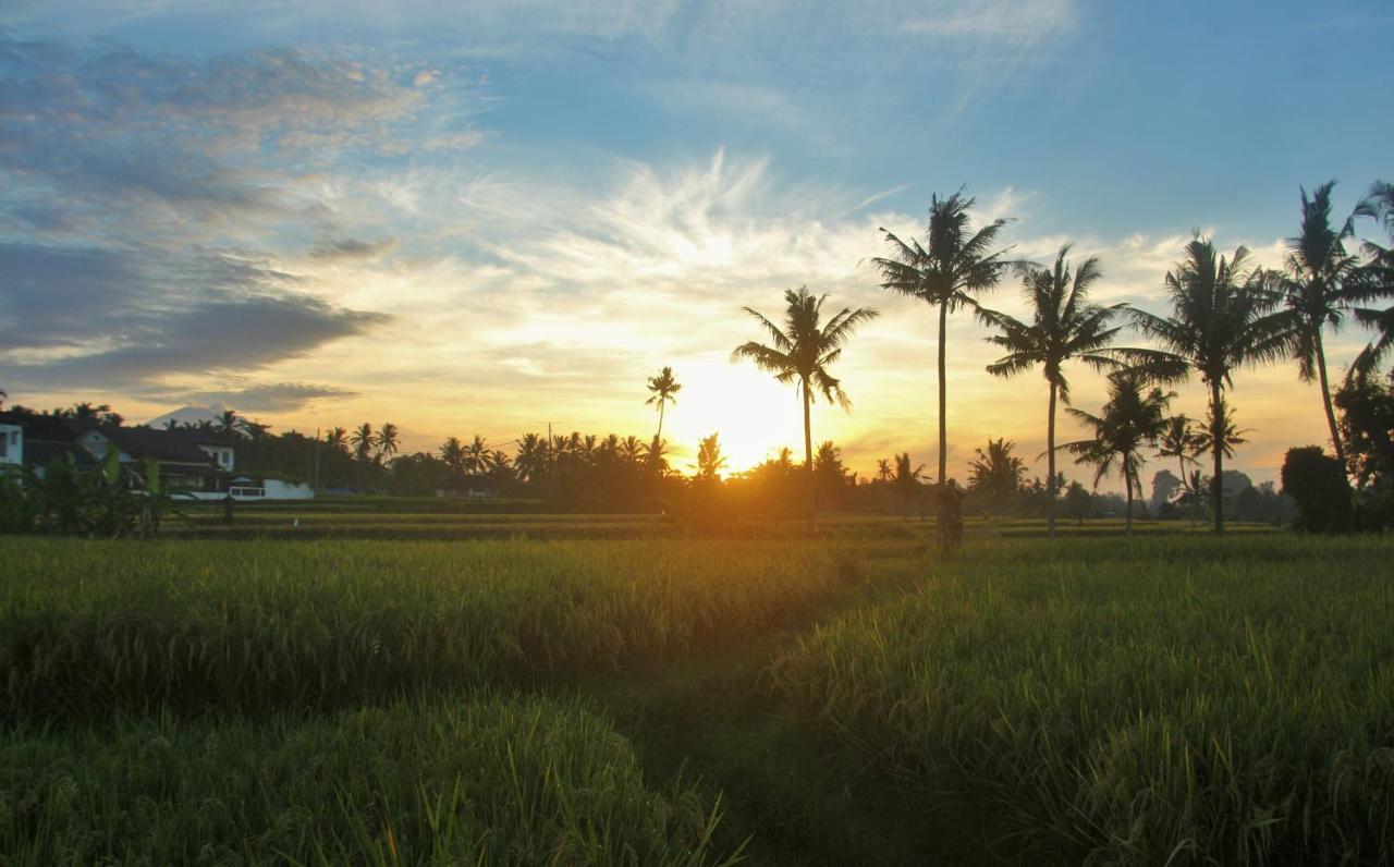 Griya Private Villa อูบุด ภายนอก รูปภาพ